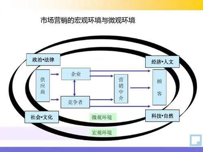 本系简介